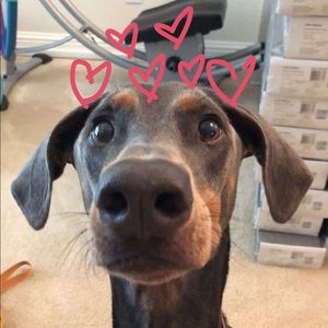 Meet your Posher, Kathleen